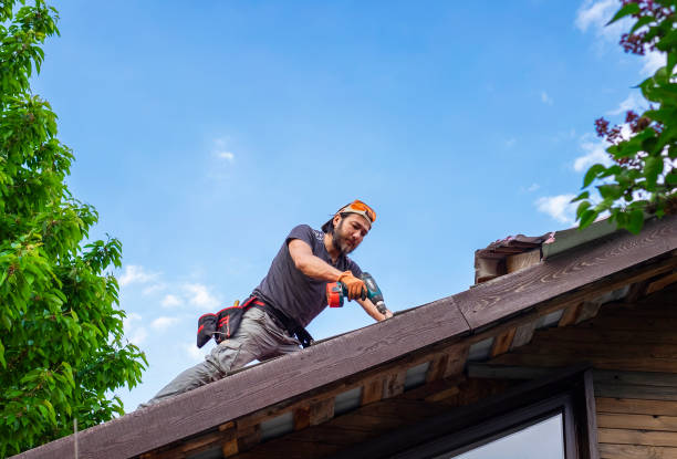 Best Chimney Flashing Repair  in Potomac Mills, VA